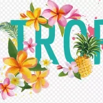 夏日艺术字美字艺术字 高清PNG