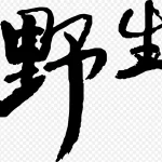 野生创意艺术字 免费PNG素材