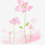 粉色艺术水彩艺术 免费PNG素材