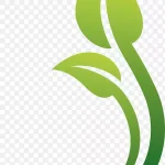 植物标志设计 PNG素材下载