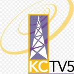 电视台标志设计矢量 PNG素材下载