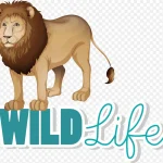 野生动物插画 PNG素材下载