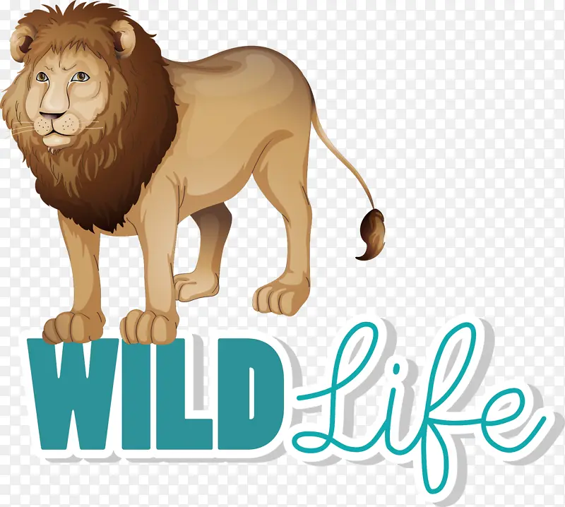 野生动物插画