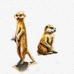 动物 PNG素材下载