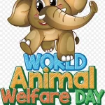 世界动物福利日 高清PNG