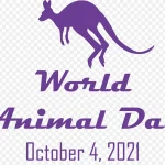 动物日宣传 免费PNG素材