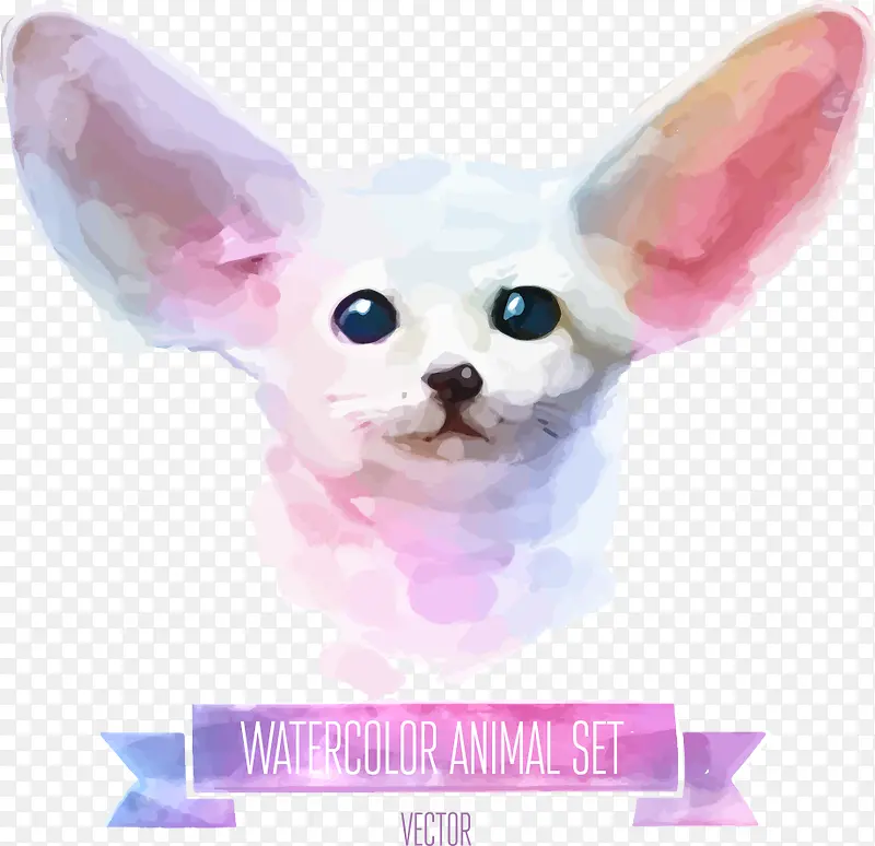 矢量水彩动物