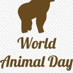 世界动物日 高清PNG