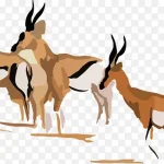 野生动物 PNG素材下载