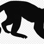 动物剪影 透明背景PNG