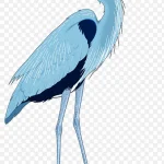 卡通动物元素手绘动物素材 高清PNG