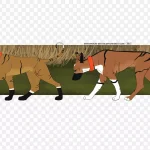 野生动物与家养动物 PNG素材下载