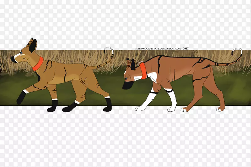 野生动物与家养动物