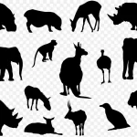 动物剪影集合 透明背景PNG