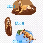 食肉动物插画集 高清PNG