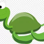 绿色乌龟PNG下载 PNG素材下载