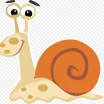 卡通蜗牛PNG下载 高清PNG