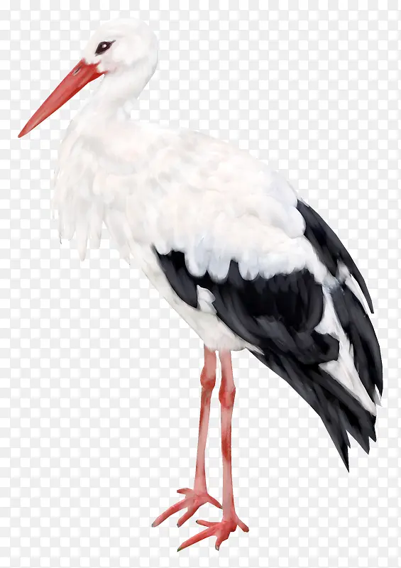 动物素材卡通动物图片