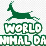 世界动物日 透明背景PNG