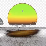 动物世界夕阳动物 高清PNG