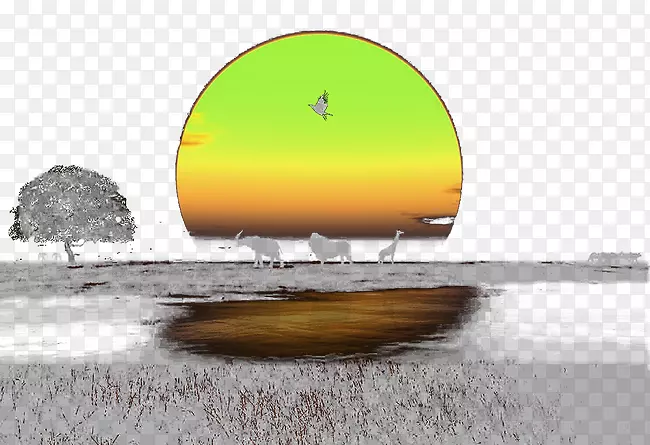 动物世界夕阳动物