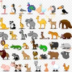 卡通动物集锦 PNG素材下载