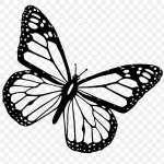 黑色蝴蝶剪纸 透明背景PNG