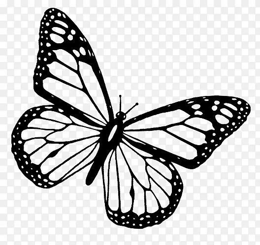 黑色蝴蝶剪纸