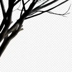 黑色树枝 免费PNG素材