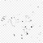 黑色泼墨设计养生 高清PNG