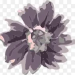 水墨黑色花 免费PNG素材