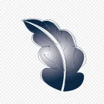 黑色羽毛素材 透明背景PNG