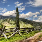 自然之美 透明背景PNG