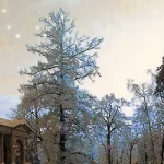 自然唯美 透明背景PNG