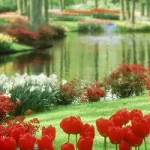 自然唯美 透明背景PNG