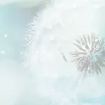 唯美自然 PNG素材下载