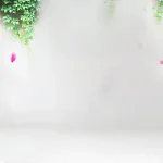 唯美自然 高清PNG