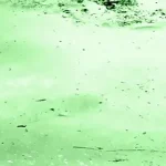 绿色自然 免费PNG素材