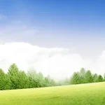 绿色自然 高清PNG