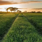 自然风景 PNG素材下载