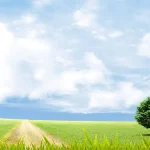 自然风景 PNG素材下载