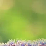 自然背景 高清PNG