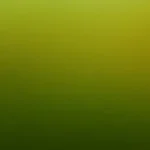 自然背景 PNG素材下载