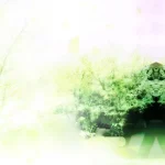 自然背景 高清PNG