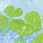 自然背景 高清PNG