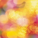 自然背景 PNG素材下载