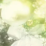 自然背景 PNG素材下载