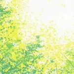 自然背景 透明背景PNG