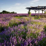 自然风景 透明背景PNG