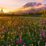 自然风景 高清PNG